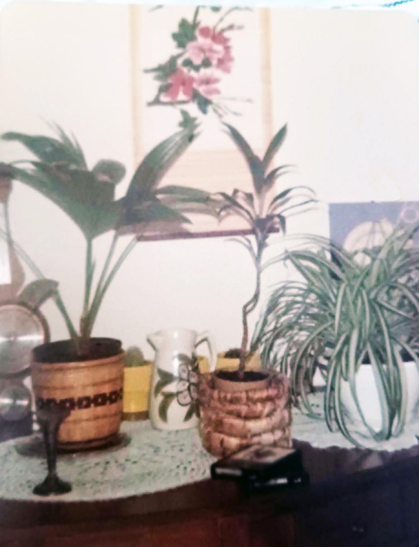 Original photograph of houseplants in woven pots, a glass pitcher and framed floral art in a room
